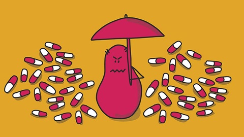 antibiotiques